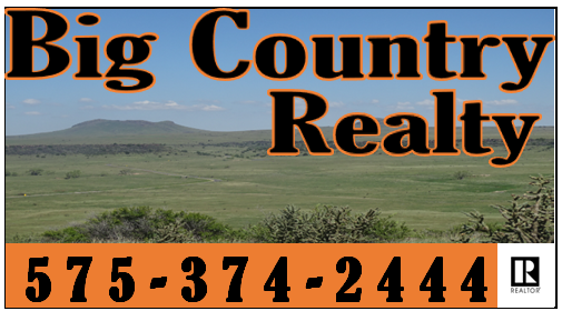 Big Country Realty